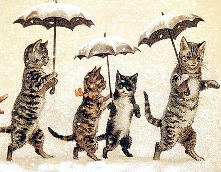cats w umbrellas