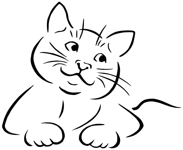 cat-grin-sketch
