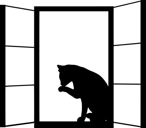 cat-in-window-silhouette