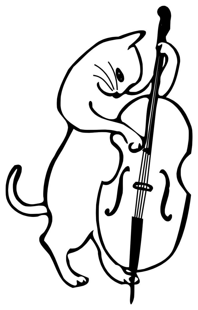 cat-playing-cello