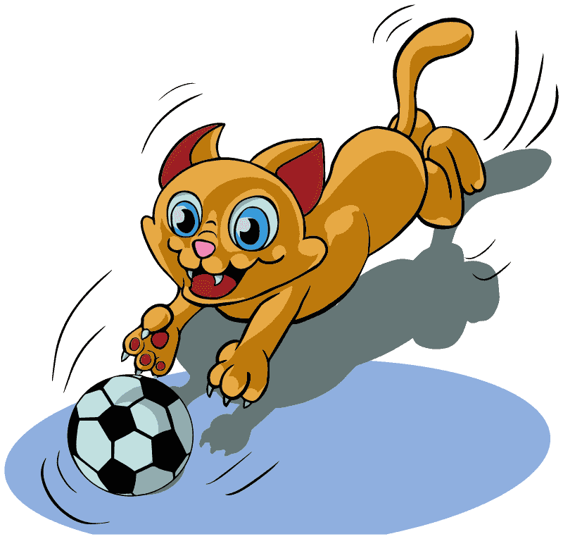 cat-w-soccer-ball