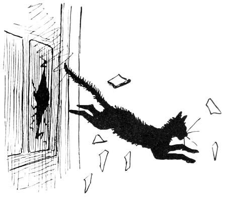 cat jumps through glass window