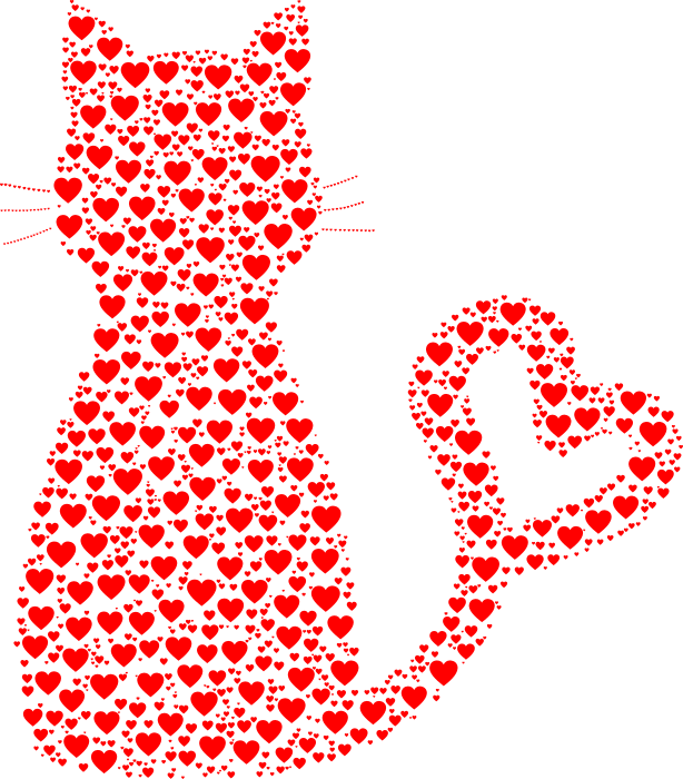 cat love hearts