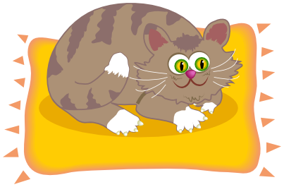 cat on pillow