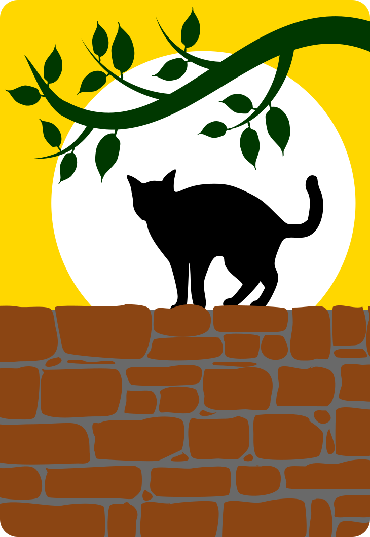cat on wall