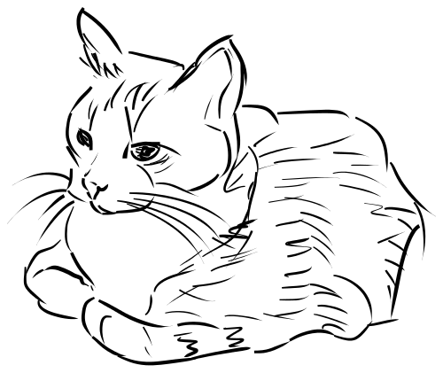 cat sitting sketch