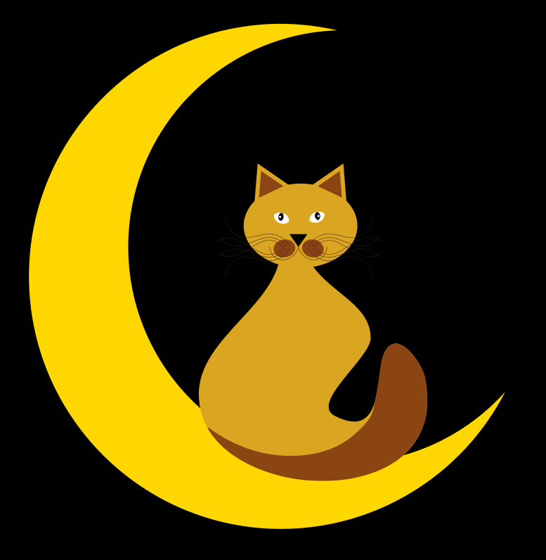 cat with moon
