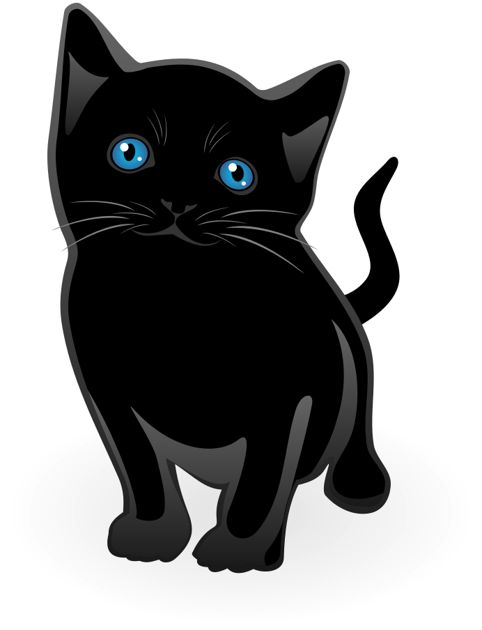 kitten black cute
