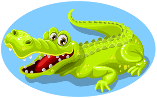 alligator-4