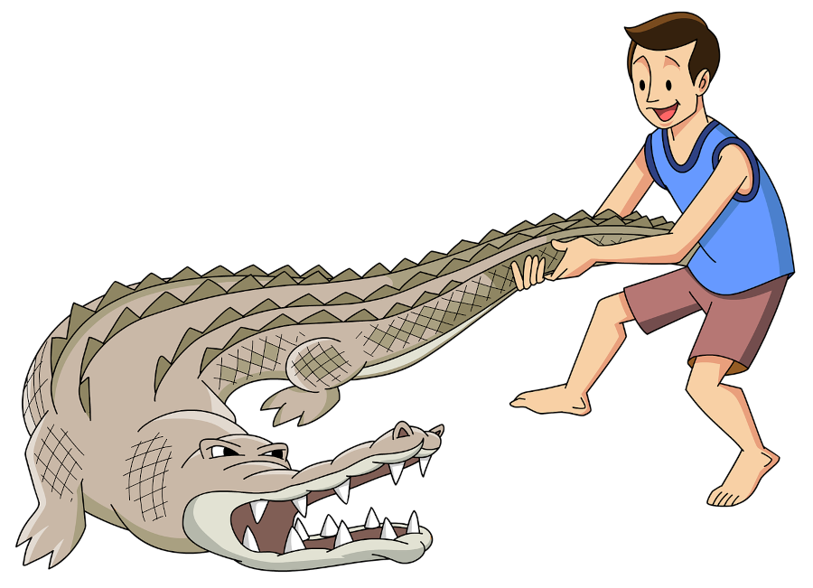 croc wrestling