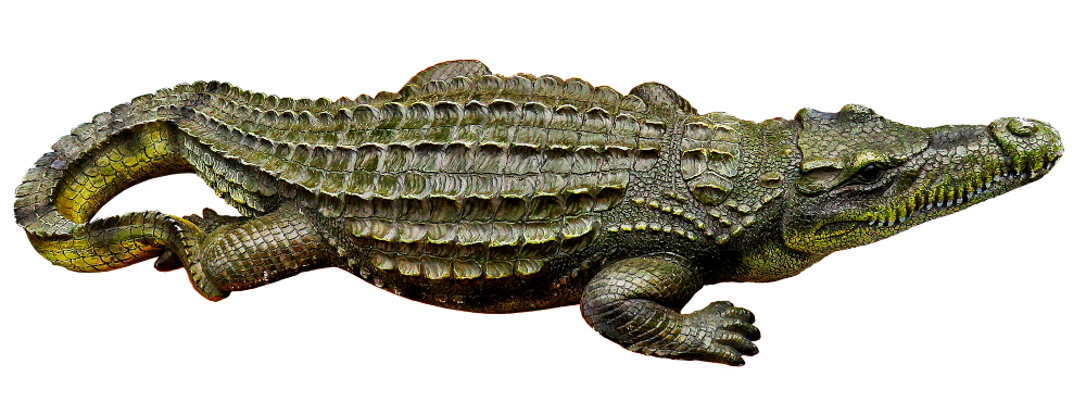 crocodile-metal-isolated