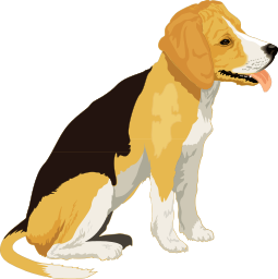 beagle 02