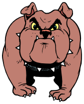 bulldog angry