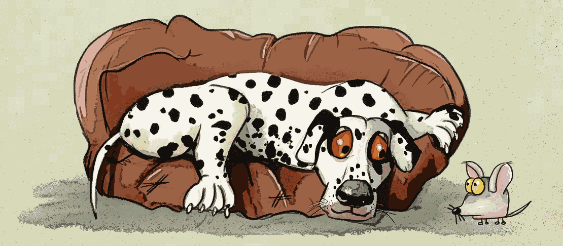 Dalmation-cartoon-couch-mouse