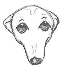 greyhound sad