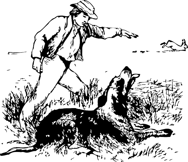 hound hunting