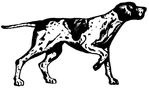 pointer drawing