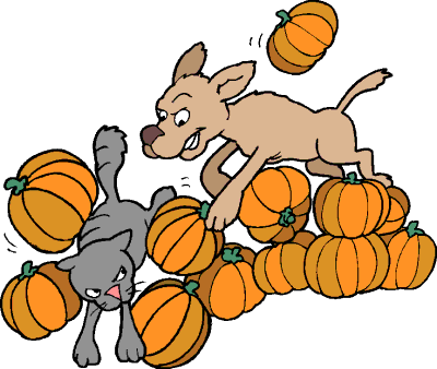 dog chasing cat through pumpkins