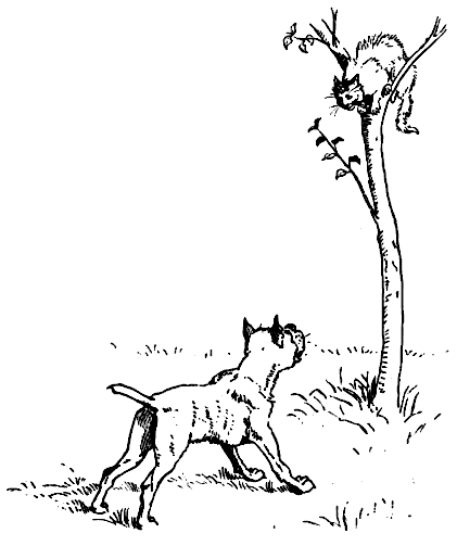 dog chasing cat up tree