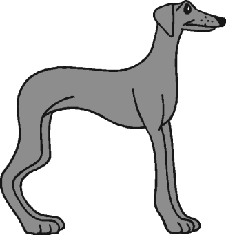 skinny dog