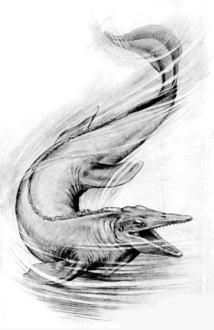 Tylosaurus illustration