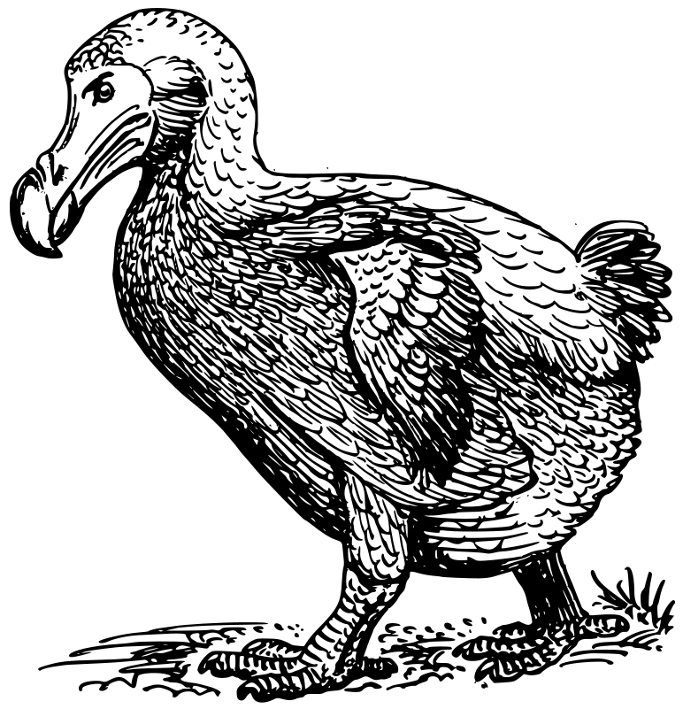 Dodo bird angry