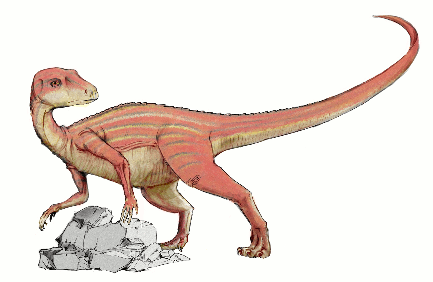 Abrictosaurus dinosaur