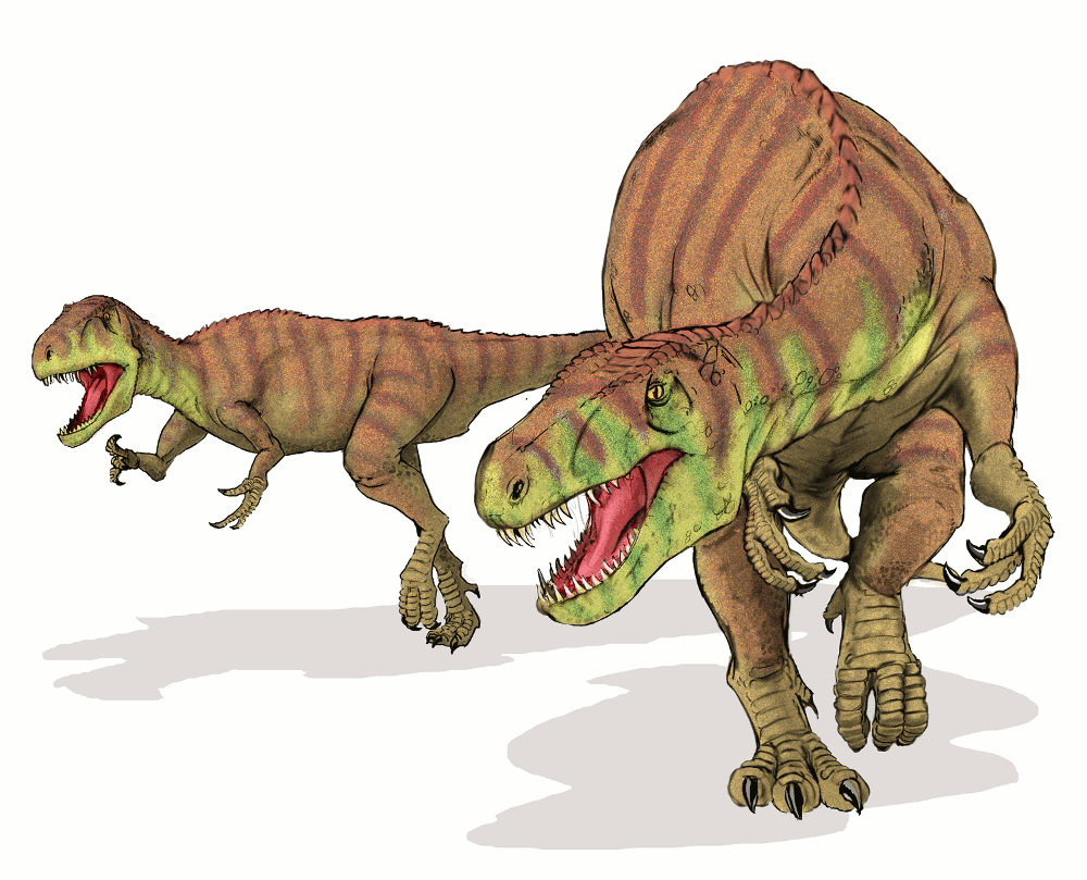 Afrovenator abakensis dinosaur