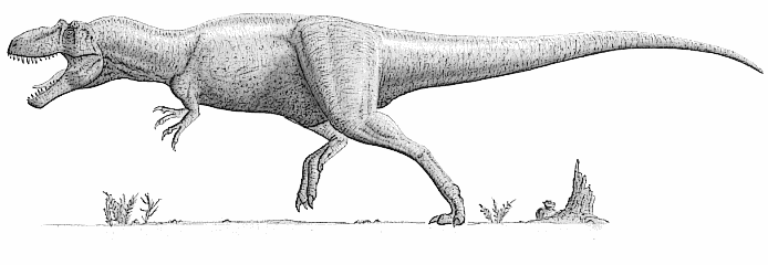 Daspletosaurus Torosus