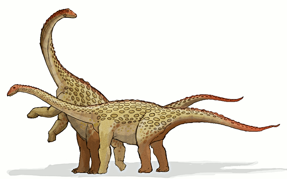 Saltasaurus dinosaur
