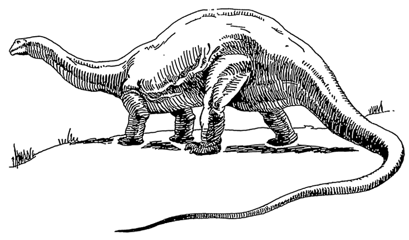 dinosaur brontosaurus