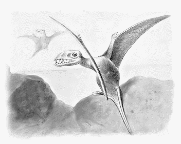 Dimorphodon Pterodactyles