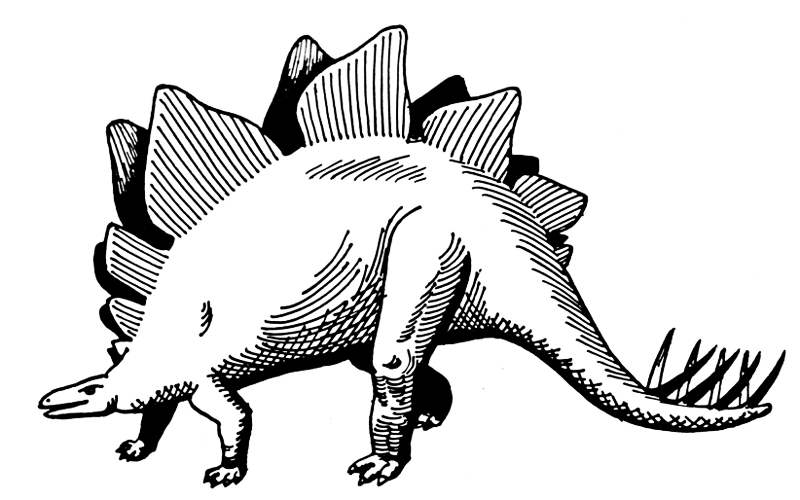 Stegosaurus BW