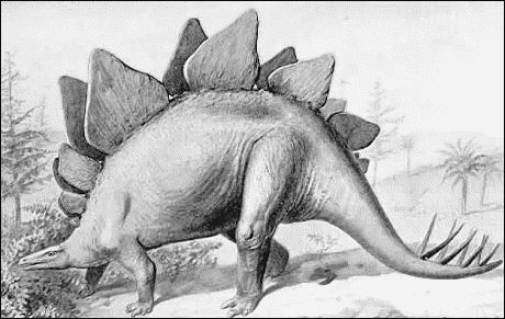 stegosaurus sketch