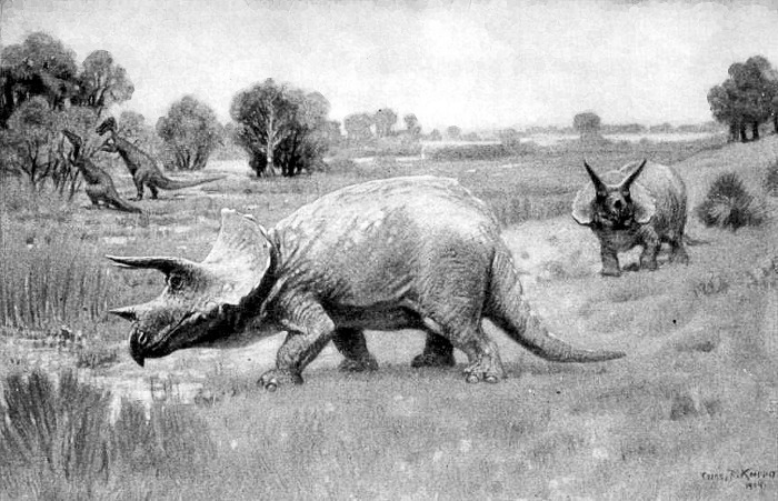 Triceratops BW