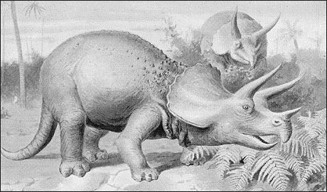 triceratops 3