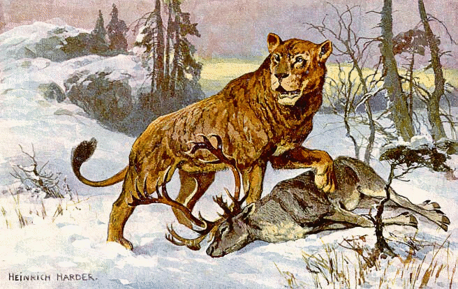 Eurasian Cave Lion