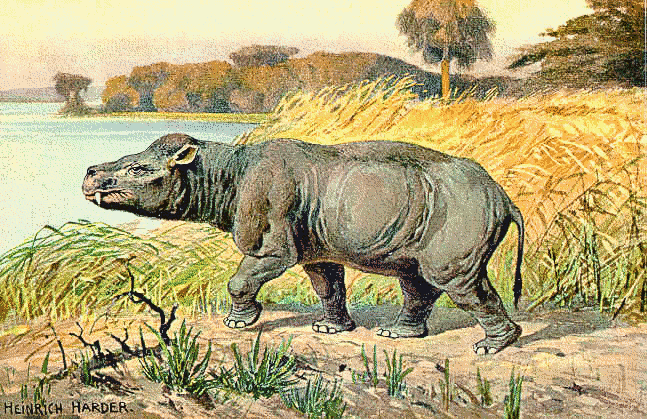 coryphodon  hippo ancestor