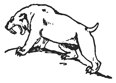 sabre tooth lineart