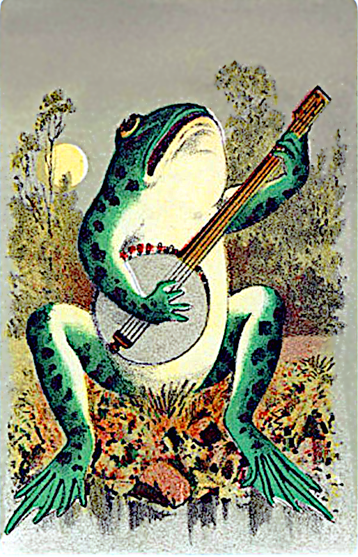 frog w banjo