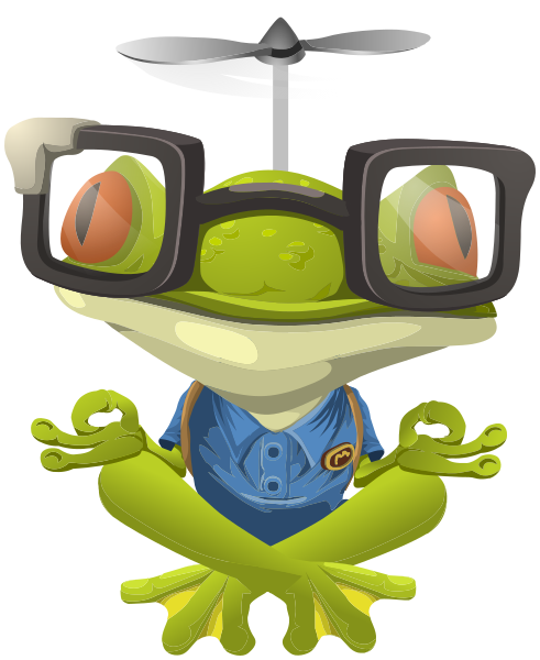 frog yoga glasses