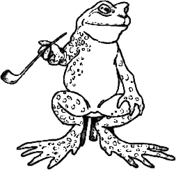 mature Irish frog at leisure