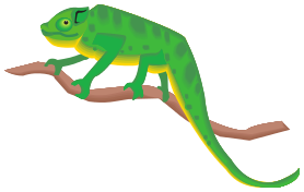 Chameleon on Branch clipart