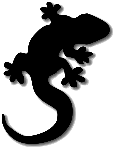 gecko w shadow