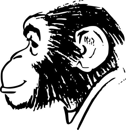 chimp-profile