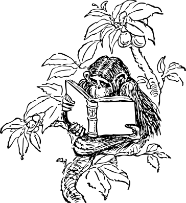 monkey-reading-in-tree