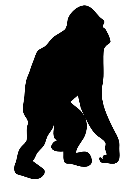 orangutan contour