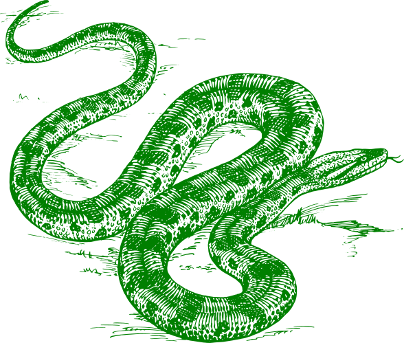 anaconda green
