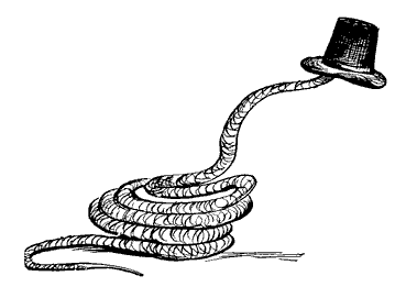 snake wearing hat