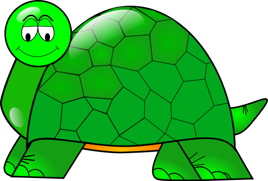 cartoon Turtle round head